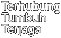 Terhubung Tumbuh Terjaga